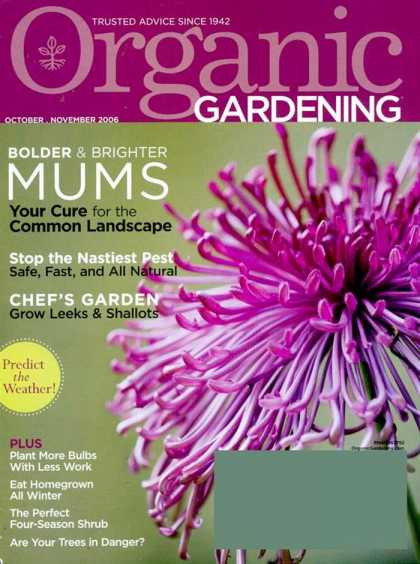 Various Magazines 12275