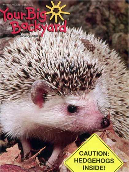 Various Magazines 20003