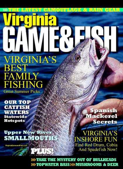 Various Magazines 20246