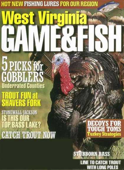 Various Magazines 20248