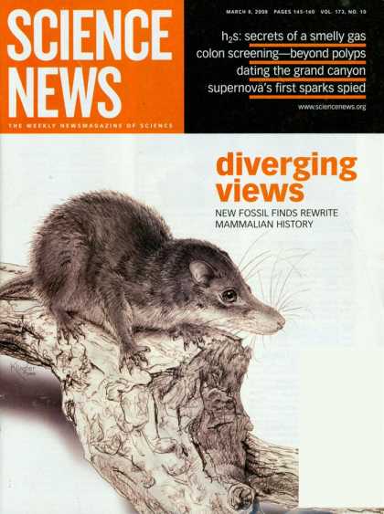 Various Magazines 21177