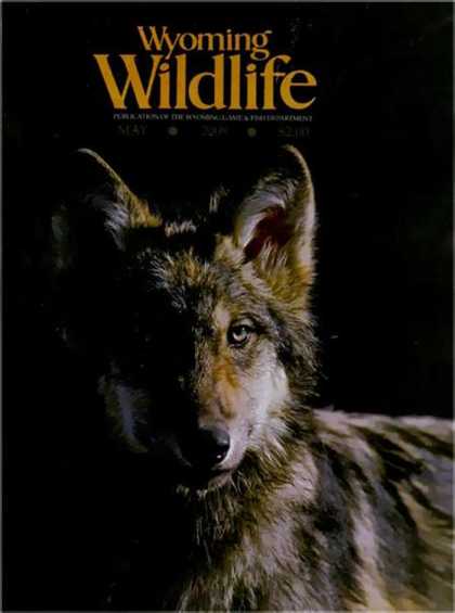 Various Magazines 21317