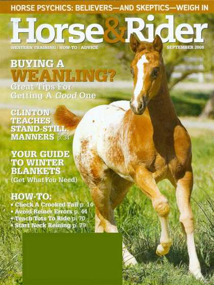 Various Magazines 22240
