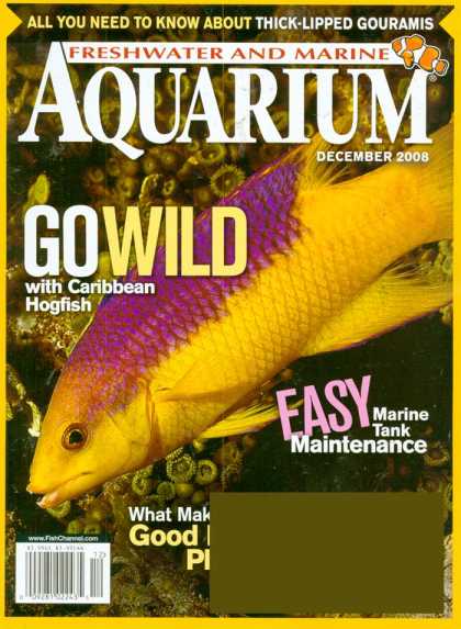 Various Magazines 23287