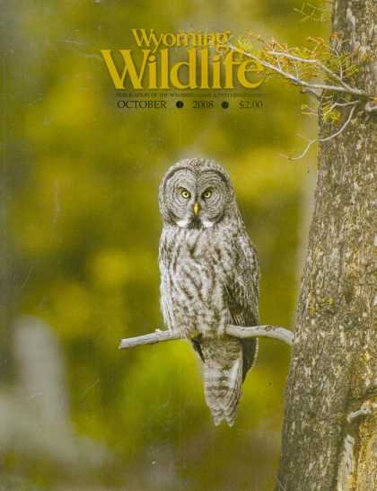 Various Magazines 23574