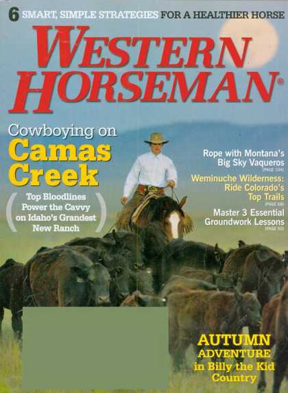 Various Magazines 23809