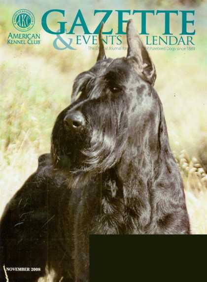 Various Magazines 23868