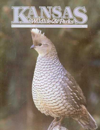 Various Magazines 23937