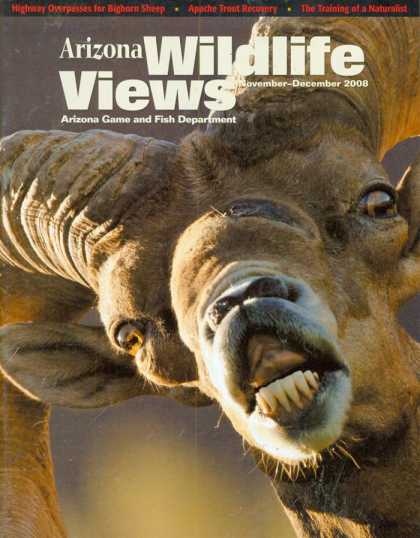 Various Magazines 23988