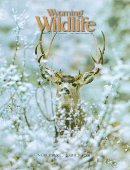 Various Magazines 24245