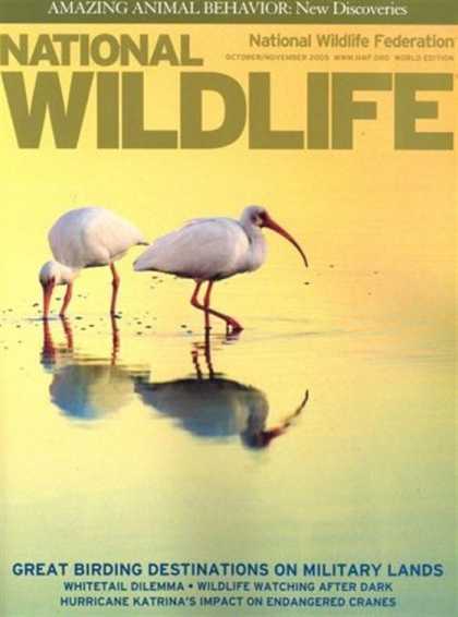 Various Magazines 24315