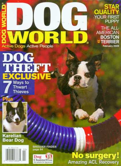 Various Magazines 24472