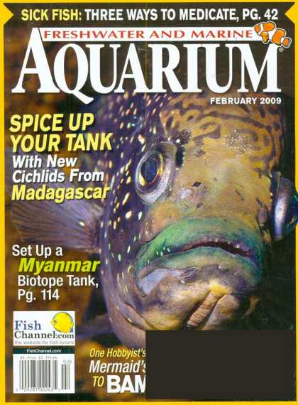 Various Magazines 24476