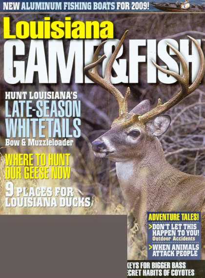 Various Magazines 24604