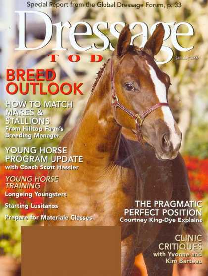 Various Magazines 24693