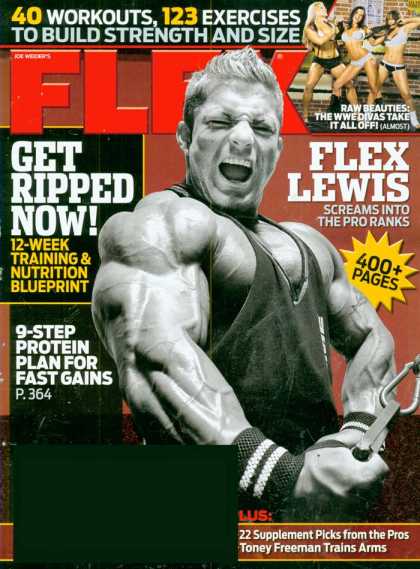 Various Magazines 24694