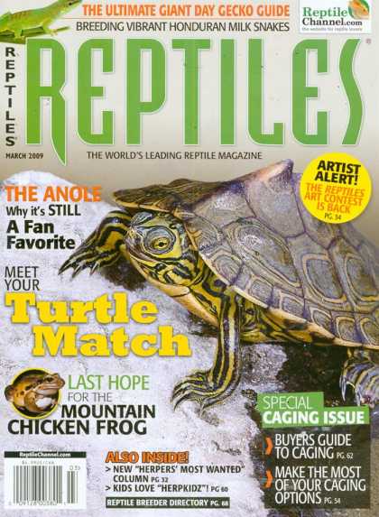 Various Magazines 24771