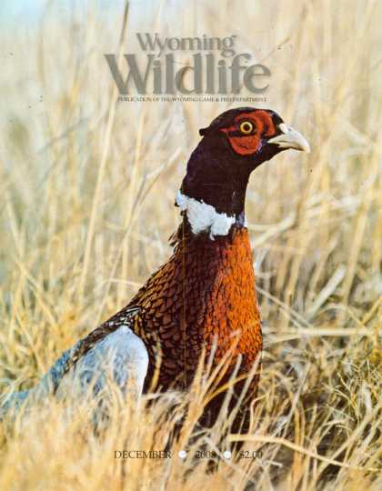Various Magazines 24833