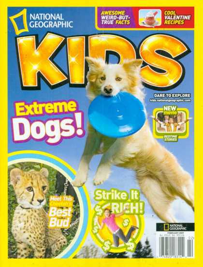 Various Magazines 24877