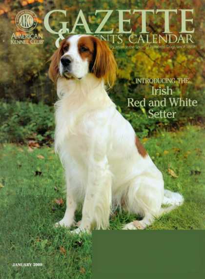 Various Magazines 24972