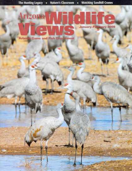 Various Magazines 25123