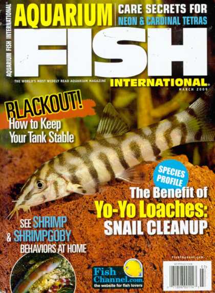 Various Magazines 25153