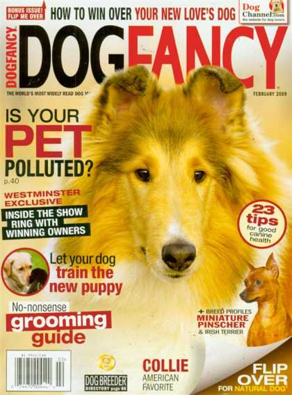 Various Magazines 25190
