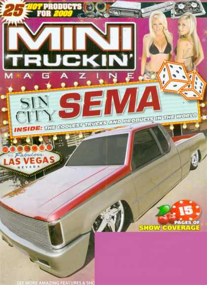Various Magazines 25271