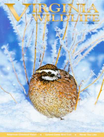 Various Magazines 25319