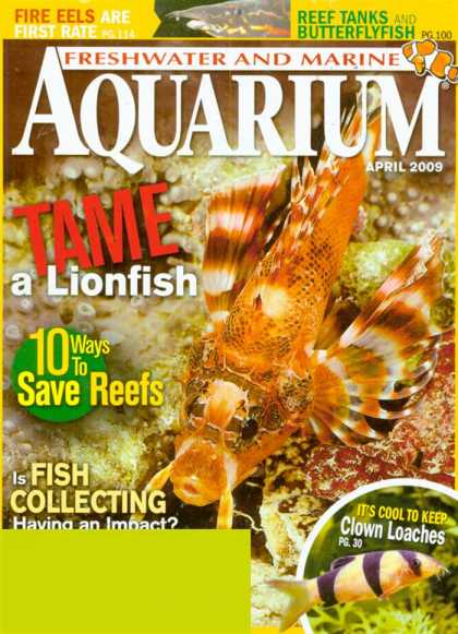 Various Magazines 25349