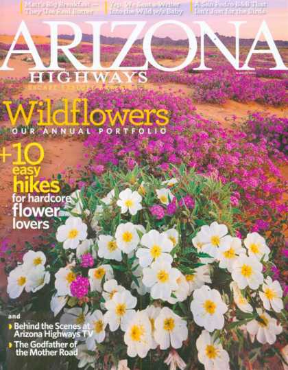 Various Magazines 25468