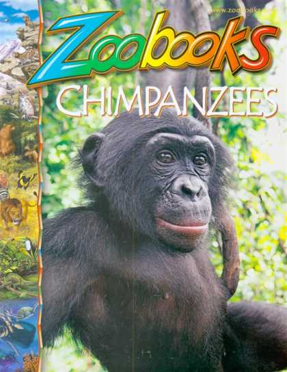 Various Magazines 25543
