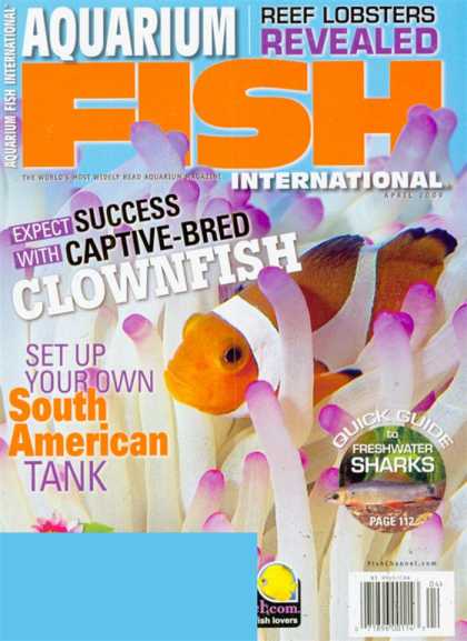 Various Magazines 25581