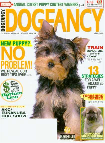 Various Magazines 25751