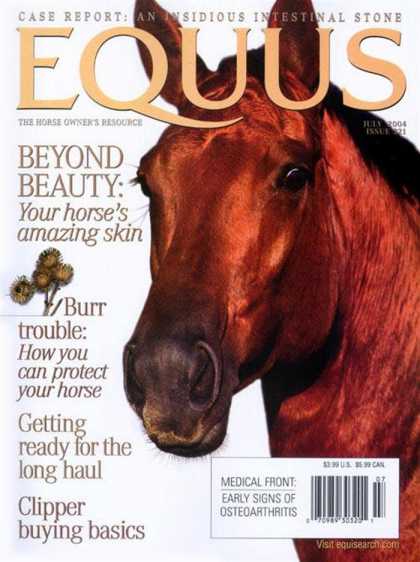 Various Magazines 2580