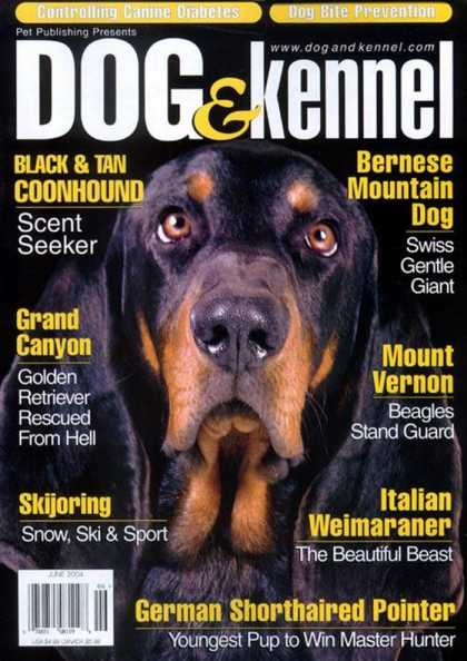 Various Magazines 2711