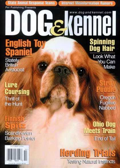 Various Magazines 2713