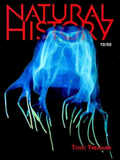 Various Magazines 3761