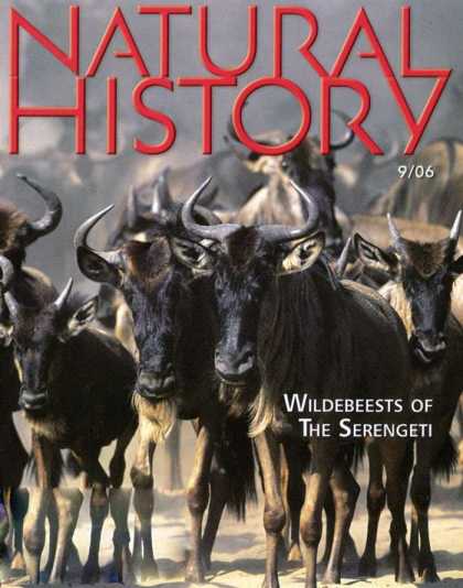 Various Magazines 3762