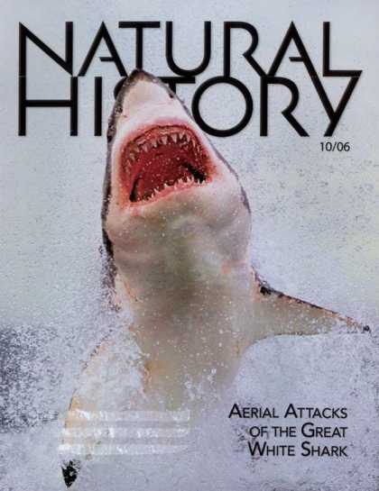 Various Magazines 3763