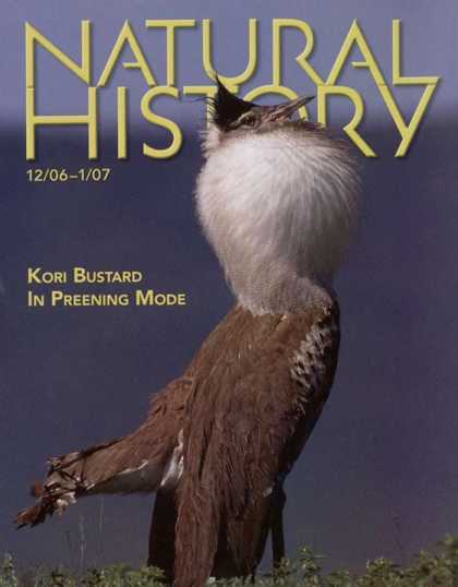Various Magazines 3765