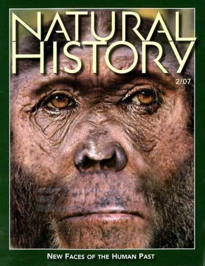 Various Magazines 3766