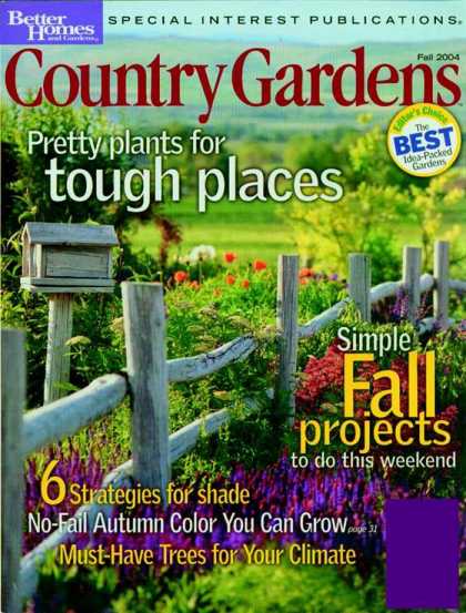 Various Magazines 4525