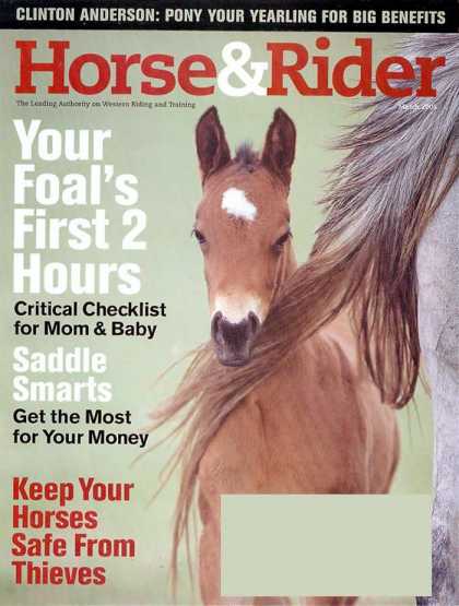 Various Magazines 5453