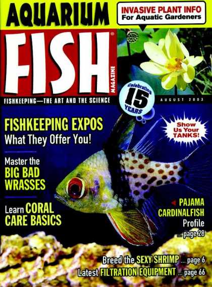 Various Magazines 5706