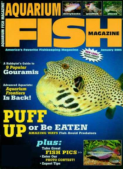 Various Magazines 5707