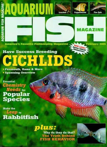 Various Magazines 5708