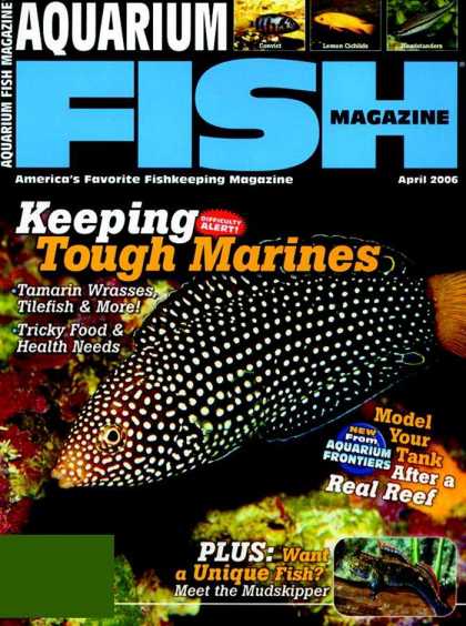 Various Magazines 5714