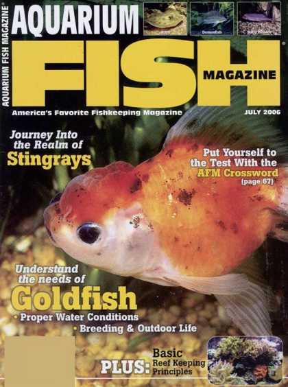 Various Magazines 5717