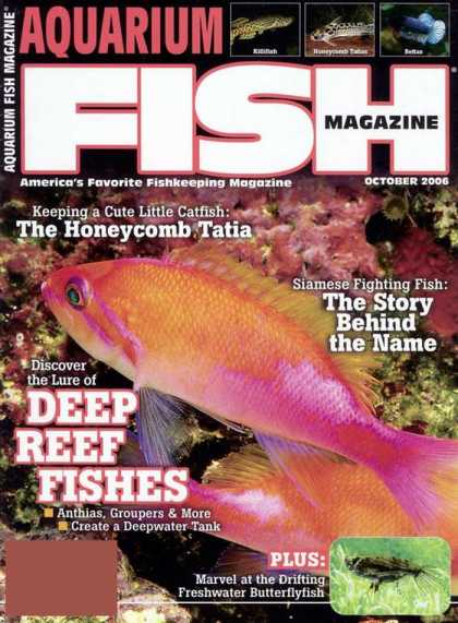 Various Magazines 5719